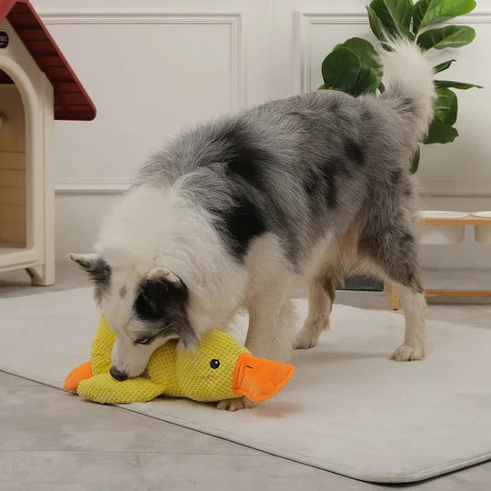 DuckWag™ Plush Pup Toy