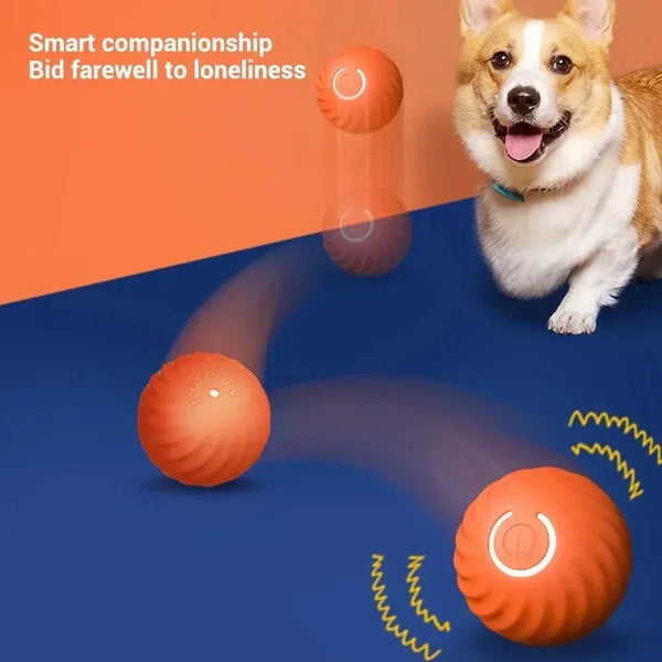 PawMotion SmartRoll IQ